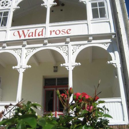 Pension Waldrose Sellin Kültér fotó